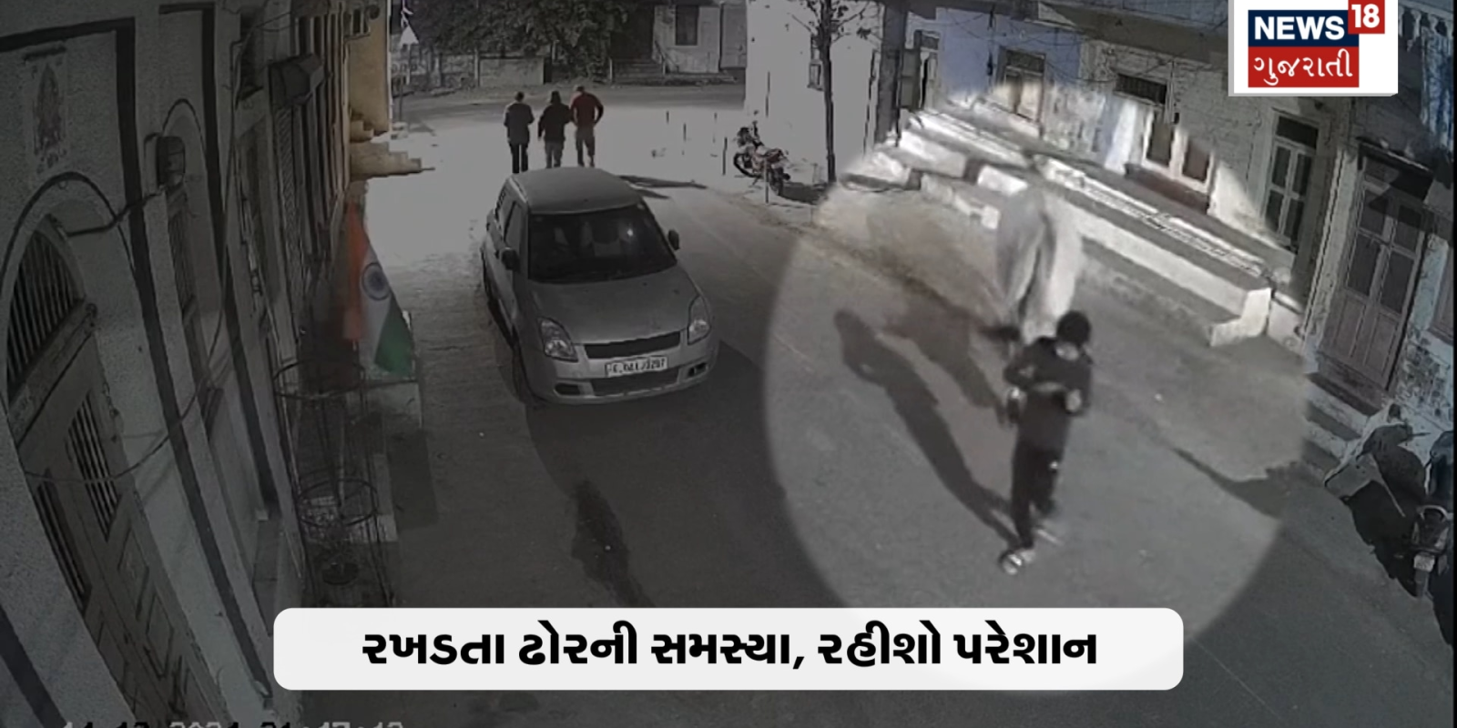 ગાયની ઢીંકથી ઢળી પડ્યો કિશોર