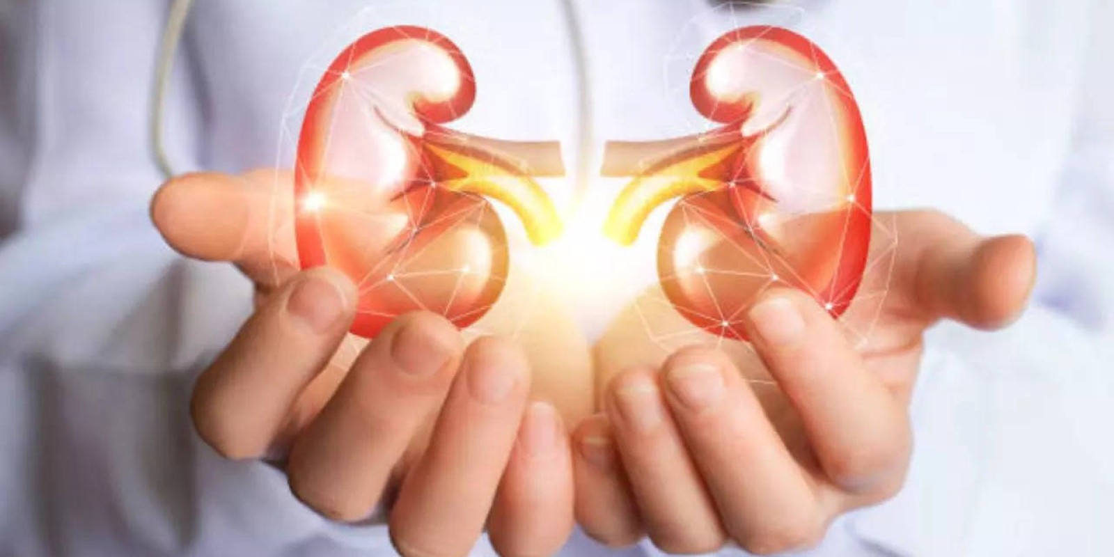 Daily Habits To Keep Your Kidney Health In Check