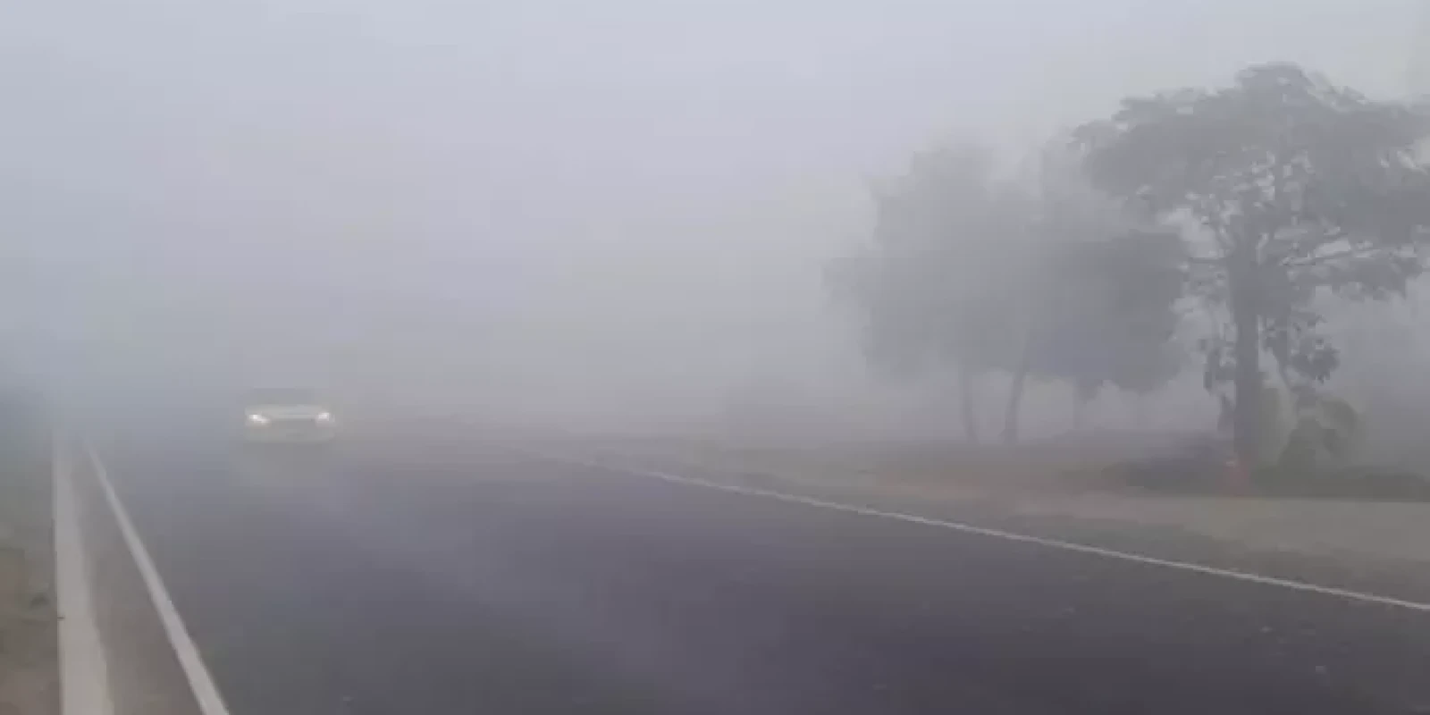 Bihar Weather Today: बिहार के 5 जिलों में घने कोहरे का येलो अलर्ट जारी, इस शहर में तापमान ने तोड़ा रिकॉर्ड