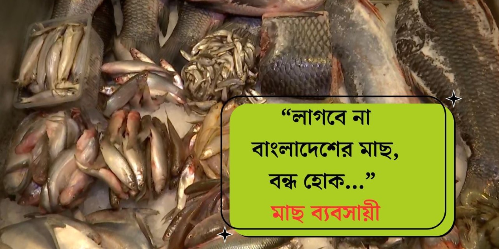 Fish Trade: ‘লাগবে না পদ্মার ইলিশ, পারশে, পাবদা, আমাদের অনেক আছে’, বড় বড় কথা শুনে রেগে লাল বাংলার ব্যবসায়ীরা