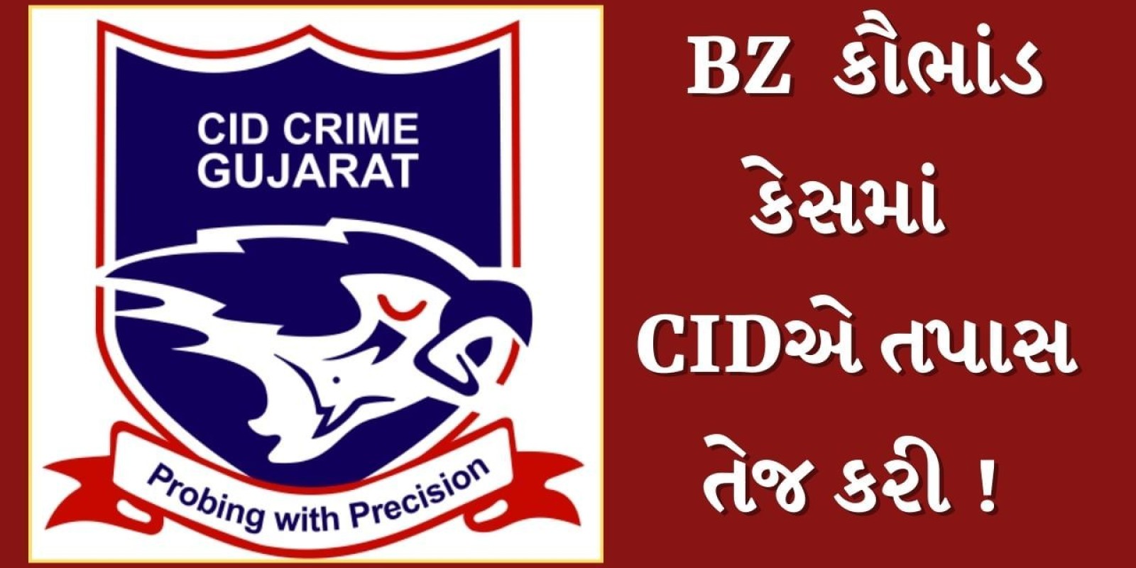 Sabarkantha : BZ કૌભાંડ કેસમાં CID ક્રાઈમની તપાસ ! શાળાઓમાં ચોક્કસ નામના વ્યક્તિની શોધખોળ હાથ ધરાઈ, જુઓ Video