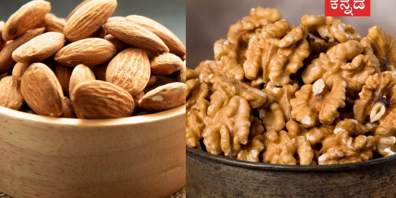 Hair Care: Almond vs Walnut; ಇವೆರಡರಲ್ಲಿ ನಿಮ್ಮ ಕೂದಲ ಪೋಷಣೆಗೆ ಯಾವುದು ಬೆಸ್ಟ್‌?