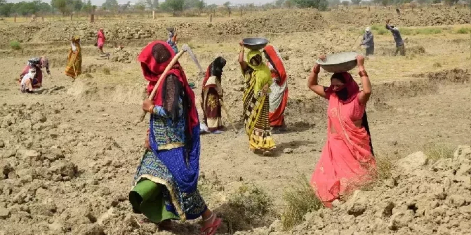 मनरेगा भुगतान के लिए एबीपीएस को अनिवार्य नहीं करने की सिफारिश, लाखों श्रमिकों के बाहर होने का डर