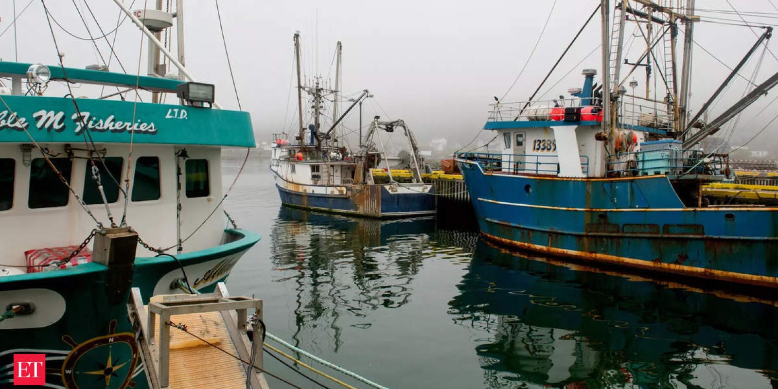 This small island near Venice emerges with a new ecosystem. Here’s what we know about it