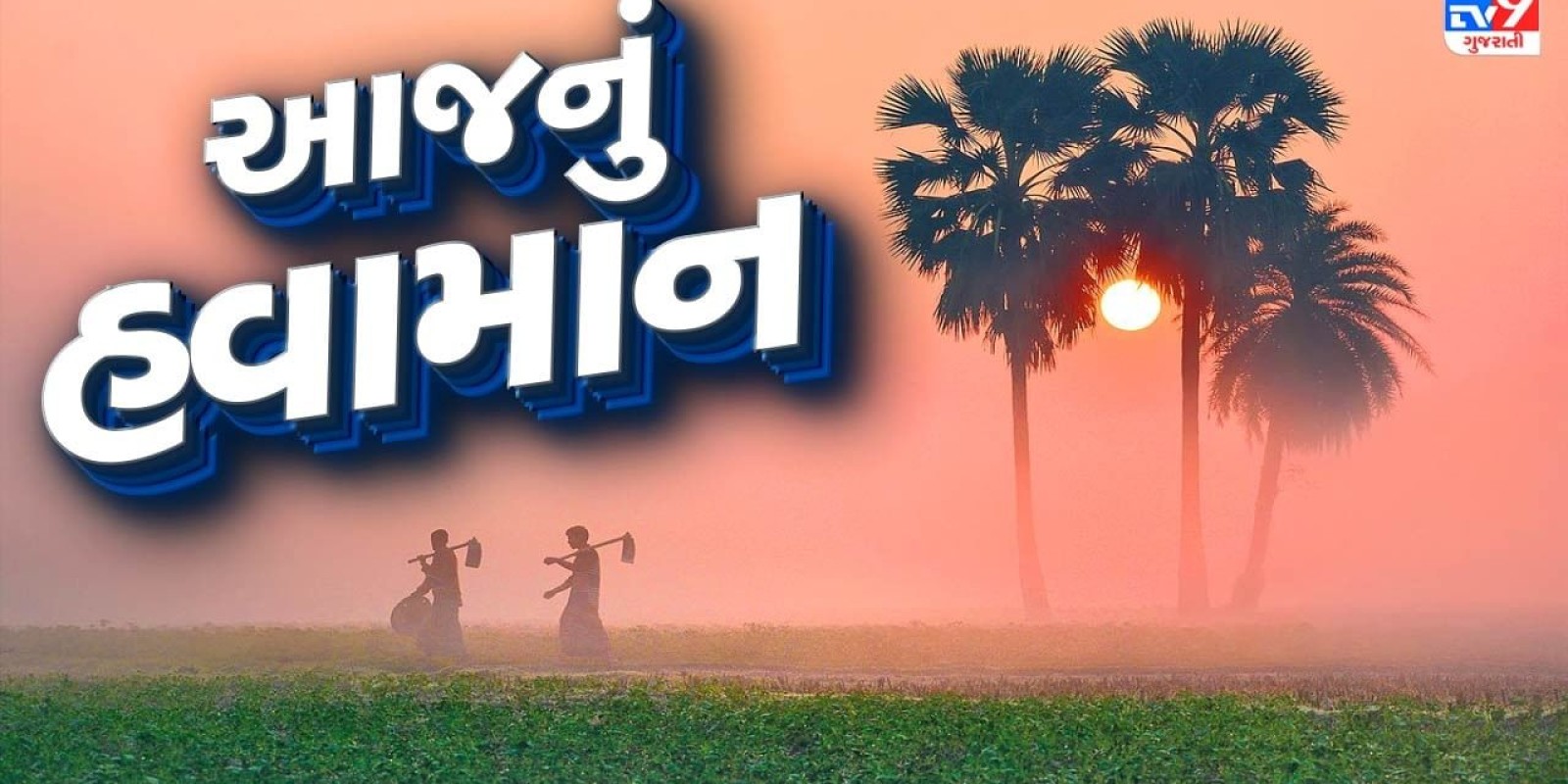 આજનું હવામાન : ગુજરાતમાં કાતિલ ઠંડી વચ્ચે માવઠાની આગાહી, જાણો ક્યાં પડશે કમોસમી વરસાદ, જુઓ Video