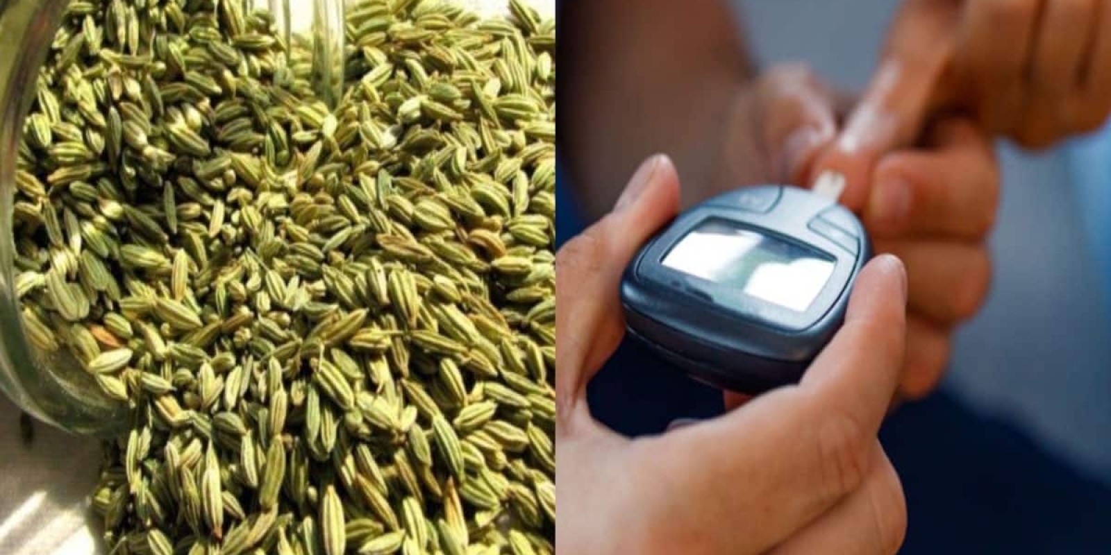 Fennel Seeds: બ્લડ શુગર લેવલ હાઈ રહે છે ? રાત્રે સૂતા પહેલા ચાવીને ખાઈ લો આ વસ્તુ, કંટ્રોલમાં રહેશે ડાયાબિટીસ