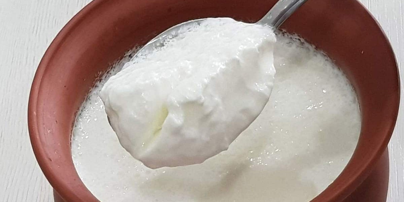 Curd: ઠંડીમાં દહીં ખાવું કે નહીં ? જાણો આયુર્વેદ અનુસાર શિયાળામાં દહીં ખાવાથી થતા લાભ વિશે