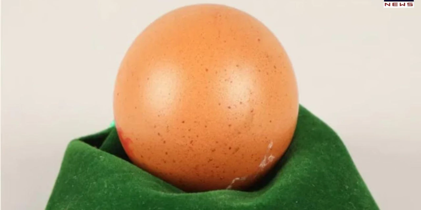 Rare one-in-a-billion perfectly spherical egg sold for Rs 21,000 at UK auction