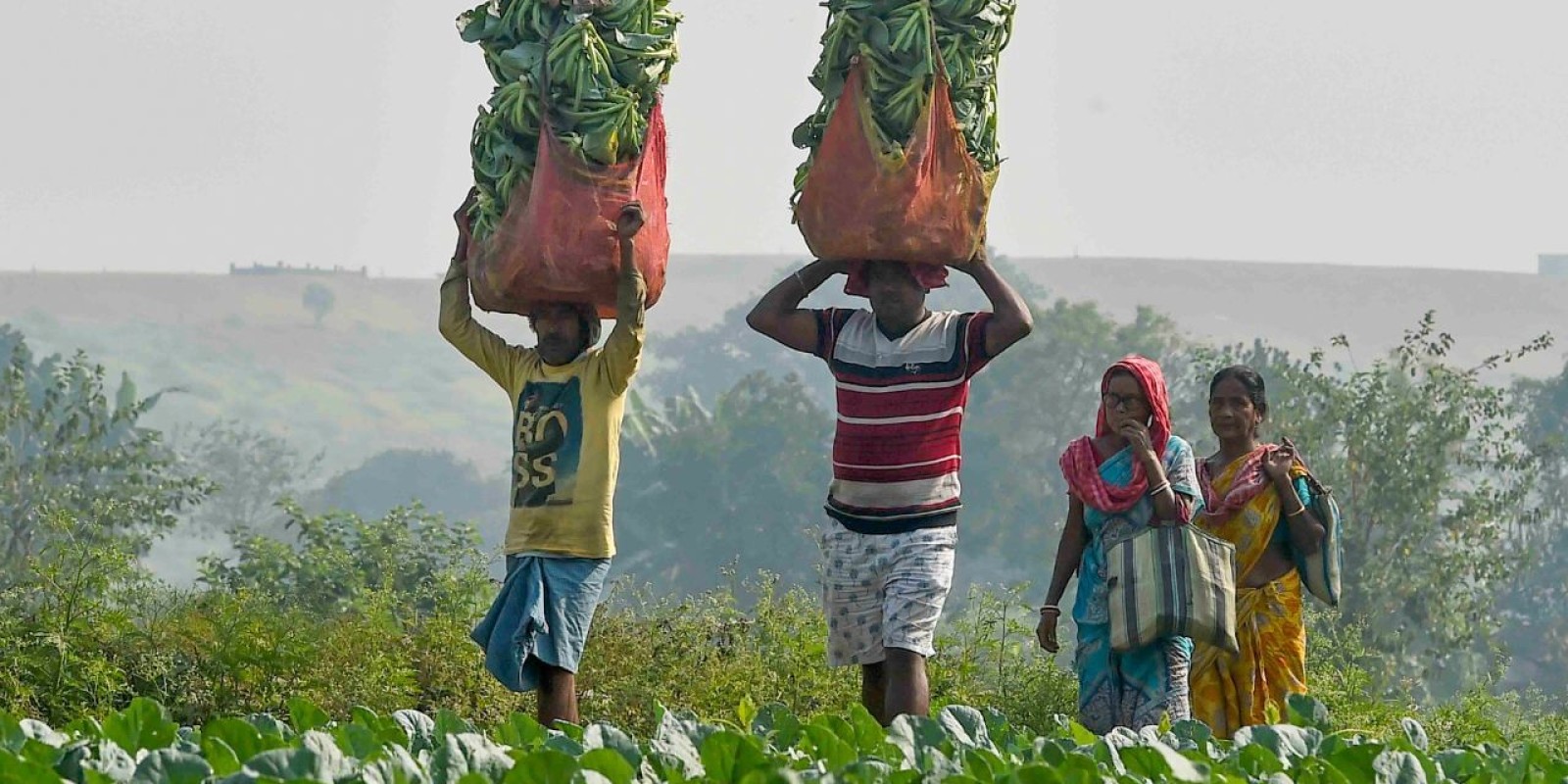 Centre Launches New Scheme: পেতে পারেন কোটি কোটি টাকা! কেন্দ্রের এই নয়া প্রকল্পের উপভোক্তা কারা?