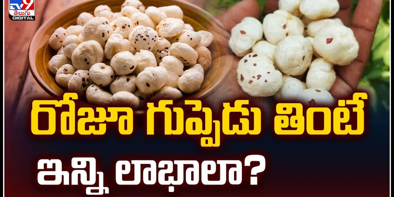 Makhana food: రోజూ గుప్పెడు తింటే ఇన్ని లాభాలా.? తెలిస్తే అసలు వదిలిపెట్టరు..