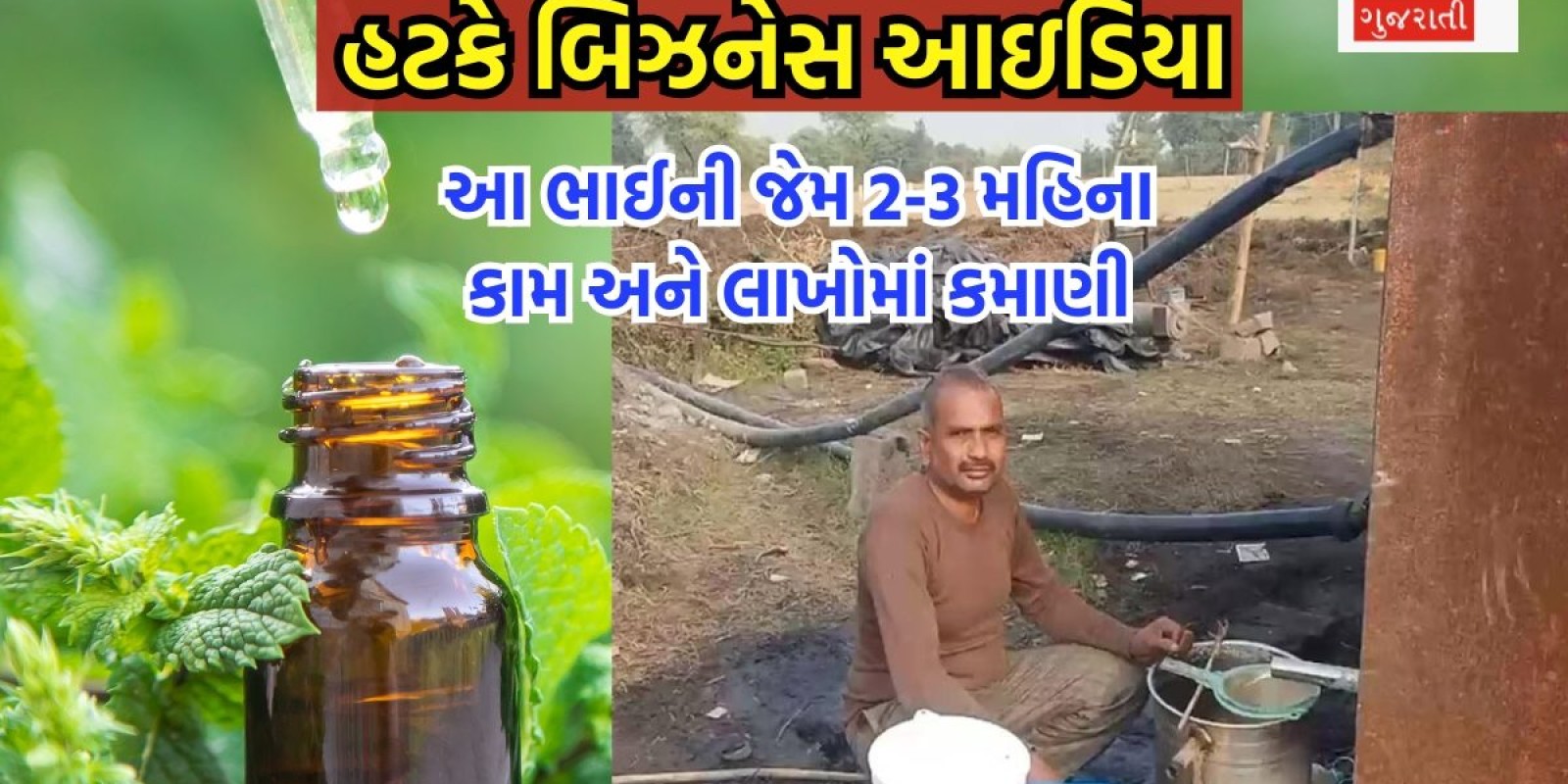 બસ 2-3 મહિના કામ કરવાનું અને લાખોમાં કમાણી, આ ધંધો એકદમ હટકે અને ખૂબ જ માંગવાળો