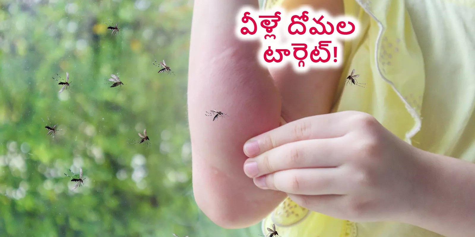 వీరినే దోమలు టార్గెట్ చేసి మరీ ఎక్కువగా కుడతాయంట.. లిస్టులో మీరుంటే జాగ్రత్త..