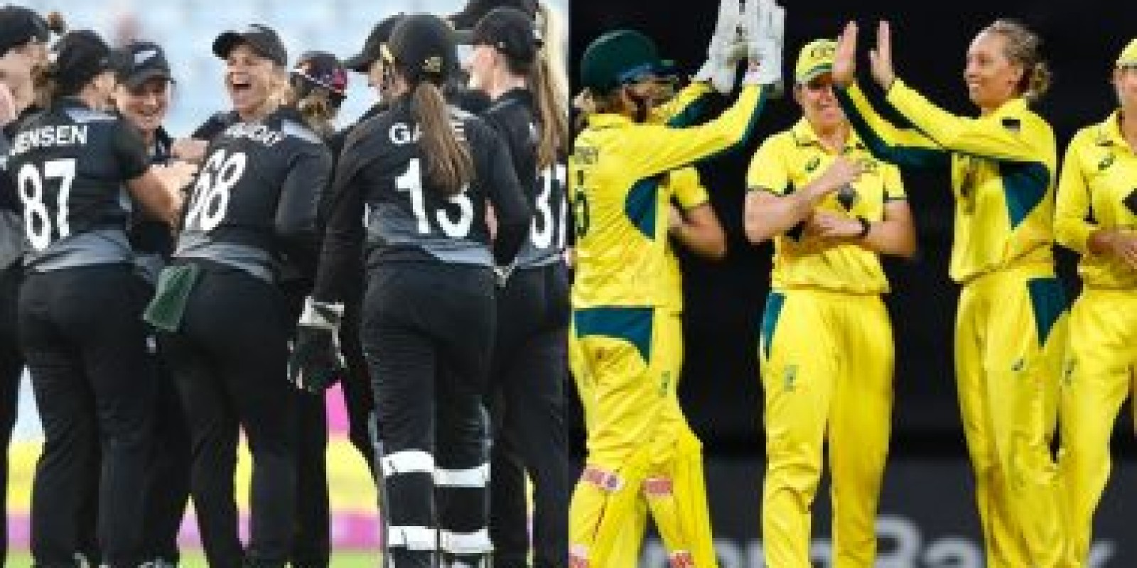 NZ W vs AUS W, 1st ODI Match 2024 Live Streaming In India: न्यूजीलैंड और ऑस्ट्रेलिया के बीच आज होगी कांटे की टककर, यहां जानें भारत में कब, कहां और कैसे उठाए लाइव मुकाबले का लुफ्त