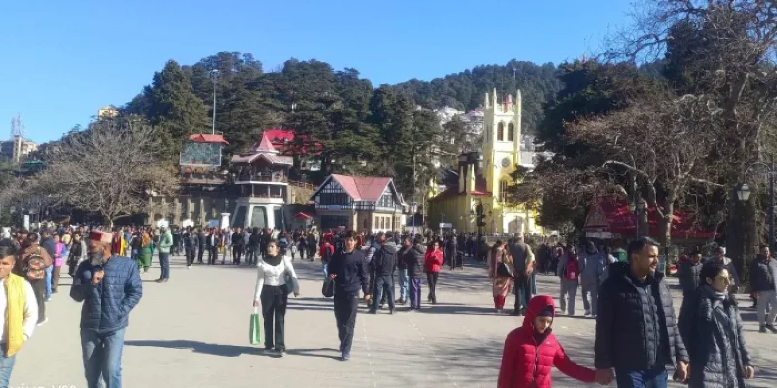 Himachal Weather: शिमला में दिन में तेज धूप, शाम को ठंड; 4 जिलों में शीतलहर की चेतावनी