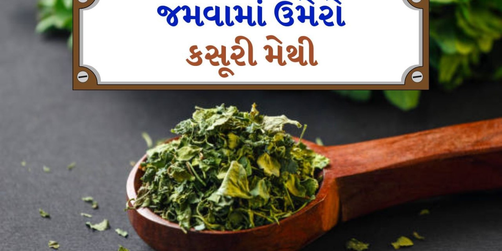 Kasuri Methi Benefits : જમવામાં ઉમેરો કસૂરી મેથી, સ્વાસ્થ્યમાં થશે અઢળક ફાયદા