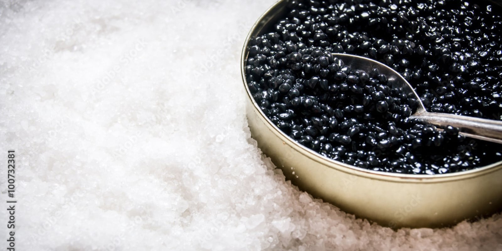 On death roe: Swetha Sivakumar on the cruelty of caviar