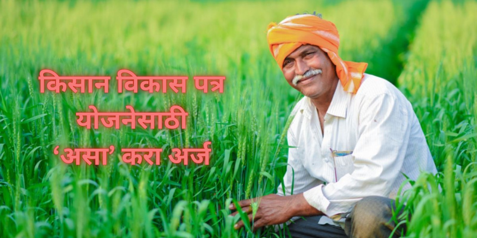 Kisan Vikas Patra: पोस्टाची पैसे दुप्पट करणारी योजना, वाचा किसान विकास पत्र योजनेचे फायदे