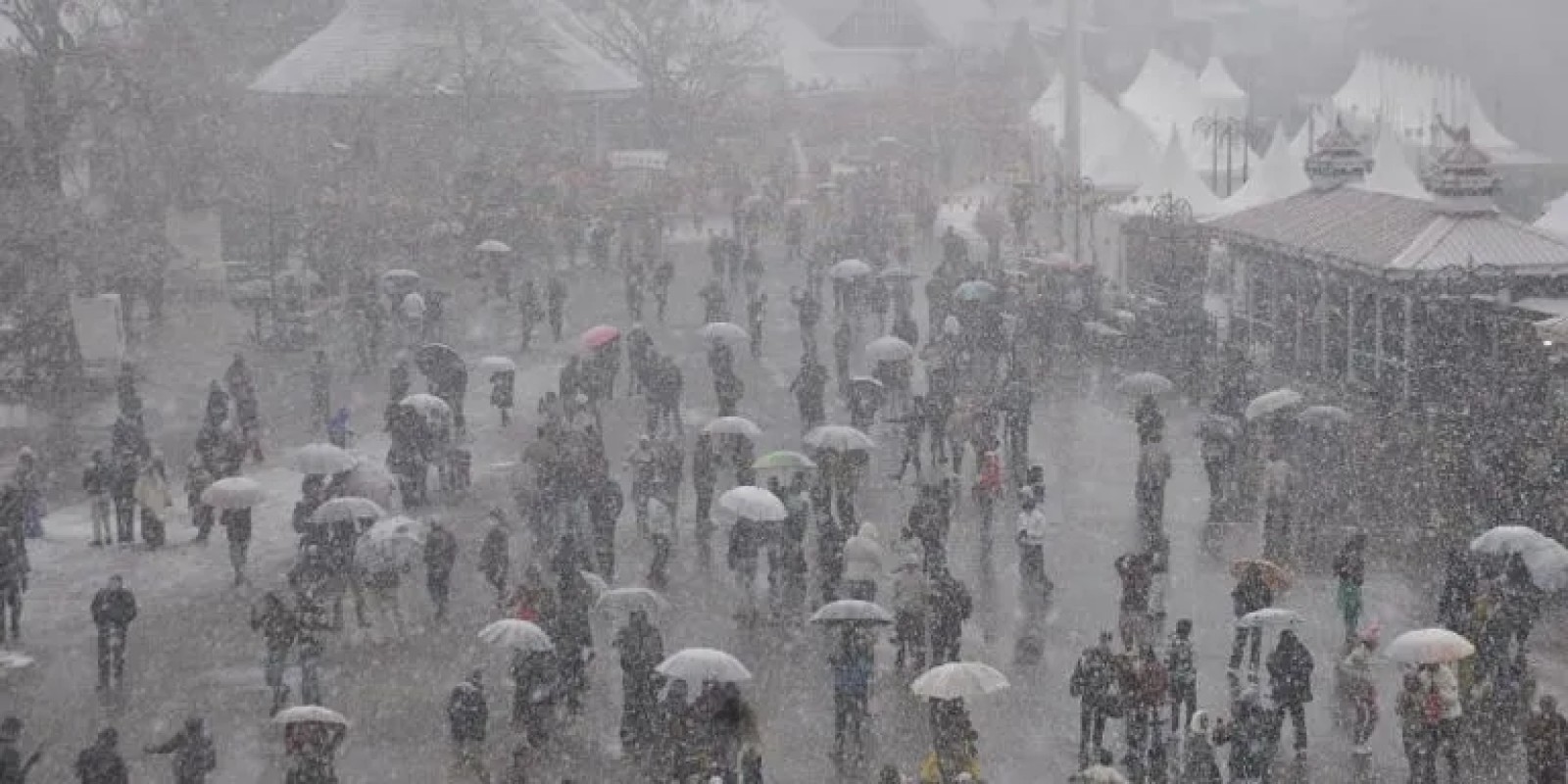 Snowfall in Shimla: ਸ਼ਿਮਲਾ ’ਚ ਹਲਕੀ ਬਰਫ਼ਬਾਰੀ ਤੋਂ ਸੈਲਾਨੀ, ਕਿਸਾਨੀ ਤੇ ਮੁਕਾਮੀ ਲੋਕ ਸਭ ਖ਼ੁਸ਼