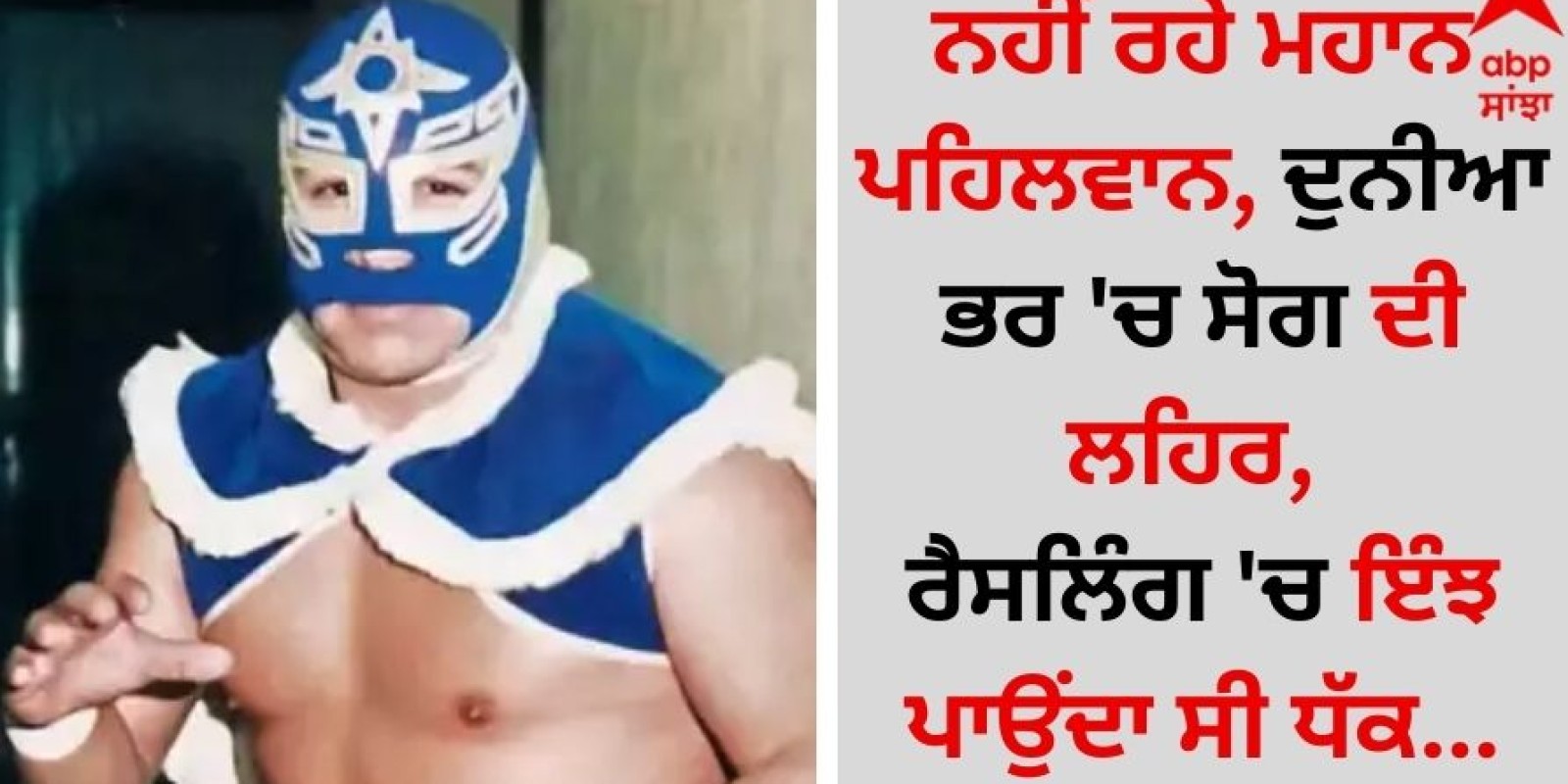 WWE Star Death: ਨਹੀਂ ਰਹੇ ਮਹਾਨ ਪਹਿਲਵਾਨ, ਦੁਨੀਆ ਭਰ 'ਚ ਸੋਗ ਦੀ ਲਹਿਰ, ਰੈਸਲਿੰਗ 'ਚ ਇੰਝ ਪਾਉਂਦਾ ਸੀ ਧੱਕ