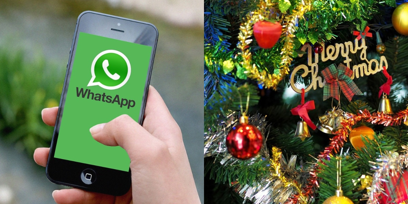 Christmas 2024 के मौके पर दोस्तों और रिश्तेदारों को WhatsApp स्टिकर्स भेजकर दें बधाई, बेहद आसान है तरीका