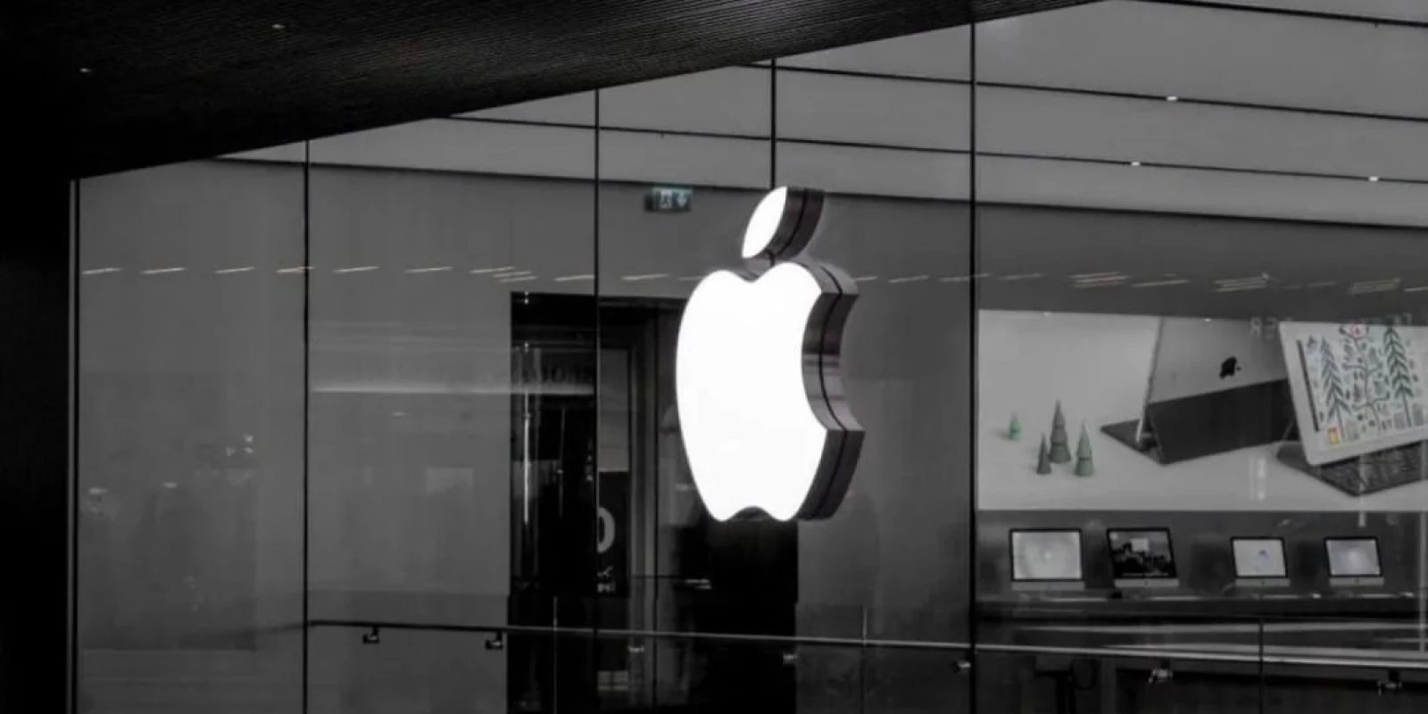 Apple executive explains why the company will not create a search engine.