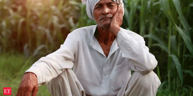 India Budget 2025: Potential Impact on Indian Farmers' Future