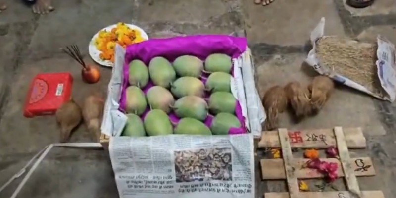 रत्नागिरीहून केसर आंब्याची पहिली पेटी मुंबई एपीएमसीमध्ये दाखल झाली.