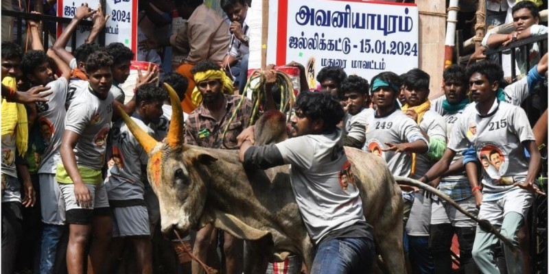 அவனியாபுரம் ஜல்லிக்கட்டு: அனைத்து சமூகத்தினரும் இணைந்து குழு அமைக்க வழக்கு