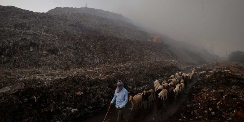 Delhi Polls: Ghazipur residents' concerns over landfill's impact.