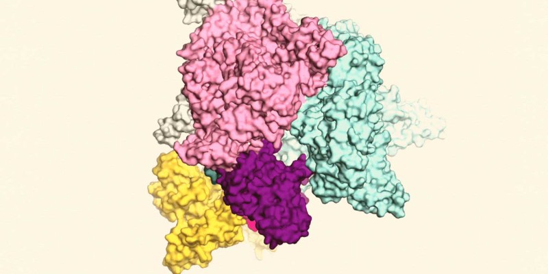 New mechanism discovered for maintaining genome stability in bacteria