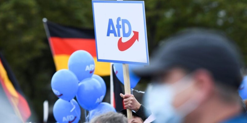 Germany's AfD Distributes Fake Deportation Tickets to Migrants