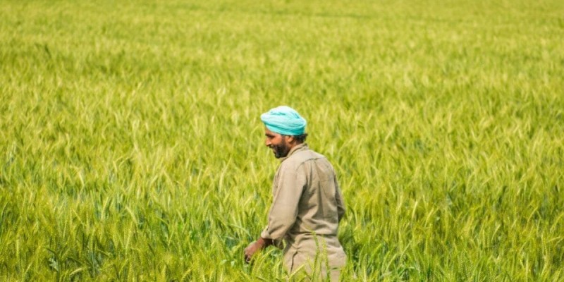 ਗੁਜਰਾਤ ਸਰਕਾਰ ਦੀ ਕਿਸਾਨ ਦੁਰਘਟਨਾ ਬੀਮਾ ਯੋਜਨਾ, ਹਾਦਸਿਆਂ ਵਿੱਚ ਮਦਦ।