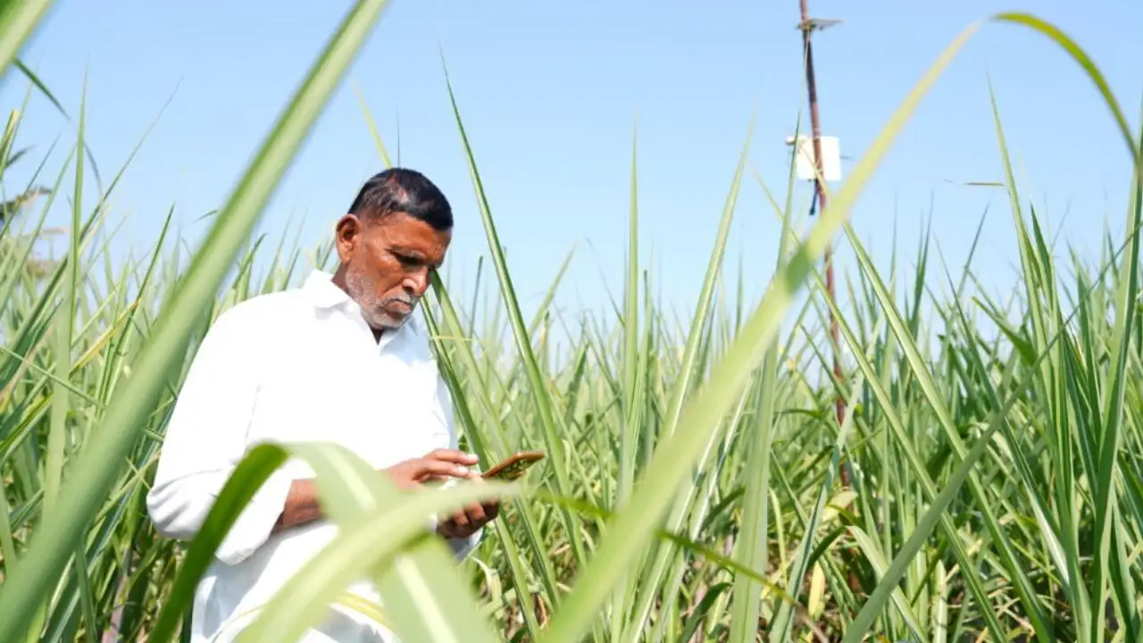 কৃষিক্ষেত্রে AI ব্যবহার: ফলন বৃদ্ধি ও কৃষকদের উন্নয়ন