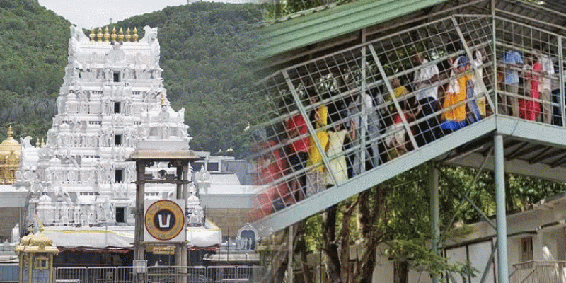 திருப்பதி கோவில்: இலவச தரிசனத்தில் 19 மணி நேரம் காத்திருப்பு