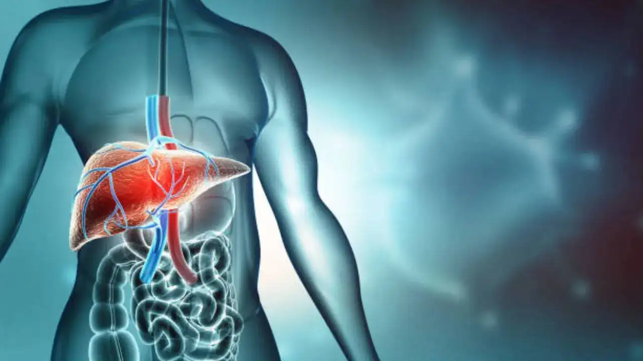Wegovy shows promise in treating nonalcoholic fatty liver disease.
