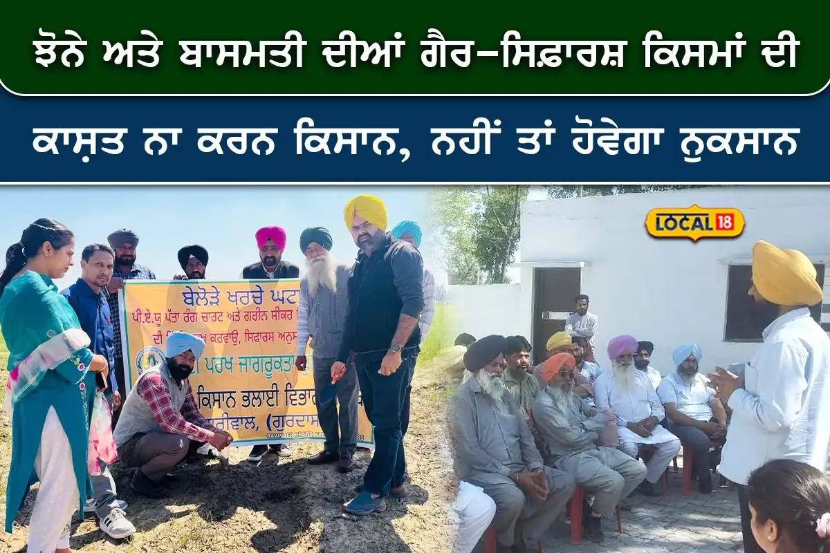 ਝੋਨੇ ਅਤੇ ਬਾਸਮਤੀ ਦੀਆਂ ਗੈਰ-ਸਿਫ਼ਾਰਸ਼ ਕਿਸਮਾਂ ਦੀ ਕਾਸ਼ਤ ਤੋਂ ਬਚੋ