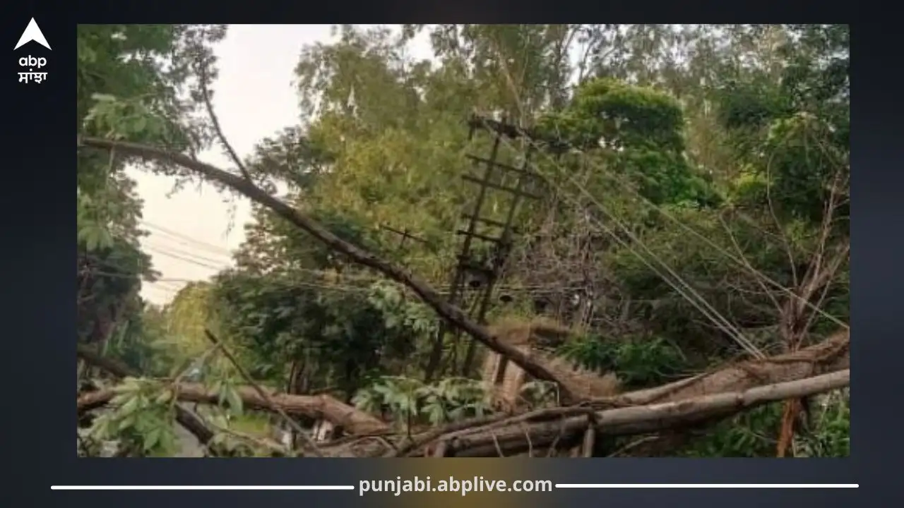 ਪੰਜਾਬ ਵਿੱਚ ਦੋ ਦਿਨਾਂ ਦਾ ਮੀਂਹ ਦਾ ਅਲਰਟ, ਕਿਸਾਨ ਚਿੰਤਤ