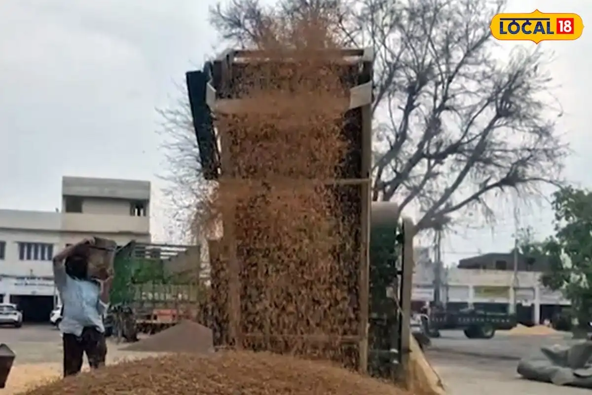 ਪੰਜਾਬ ਦੀਆਂ ਮੰਡੀਆਂ ਵਿੱਚ ਕਣਕ ਦੀ ਆਮਦ ਵਧੀ