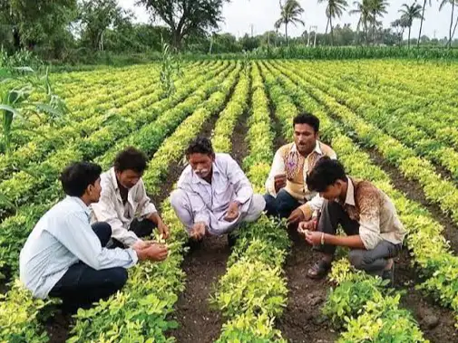 વડોદરાના બાગાયતી ખેડૂતો માટે 31 મે સુધી અરજી કરવાની તક