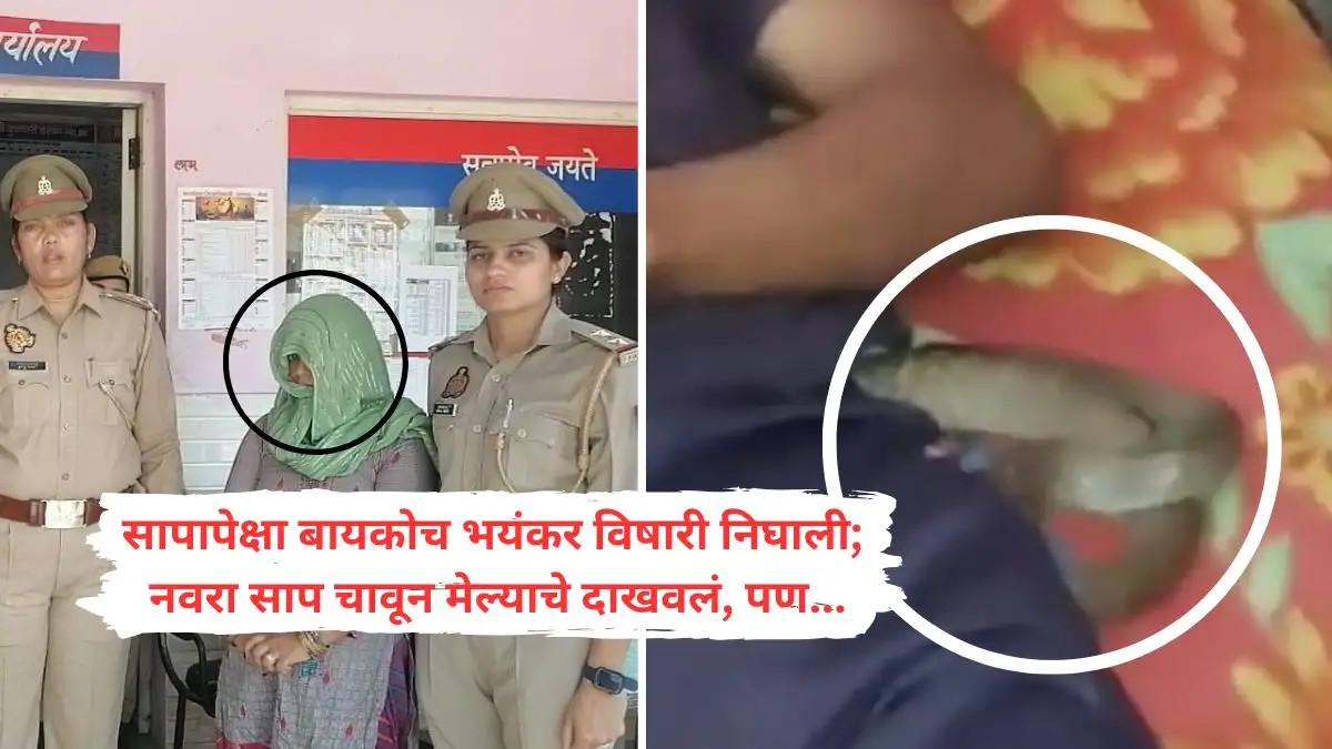 पत्नीने प्रियकराच्या मदतीने पतीचा गळा दाबून खून केला, साप चावल्याचा बनाव केला.
