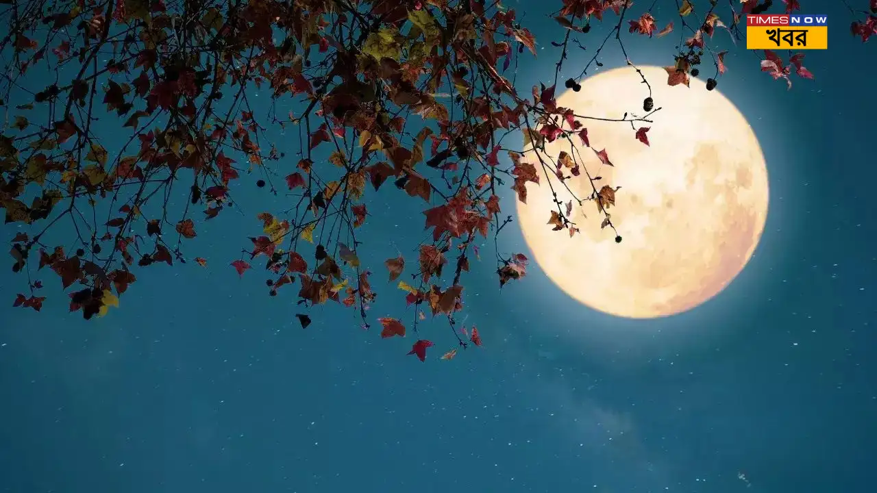 বৈশাখ পূর্ণিমা ২০২৫: ১১ কি ১২ মে? তারিখ ও পূজার সময়