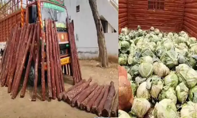 காய்கறிகளில் மறைத்து செம்மரம் கடத்தல்; 2 டன் கட்டைகள் பறிமுதல்