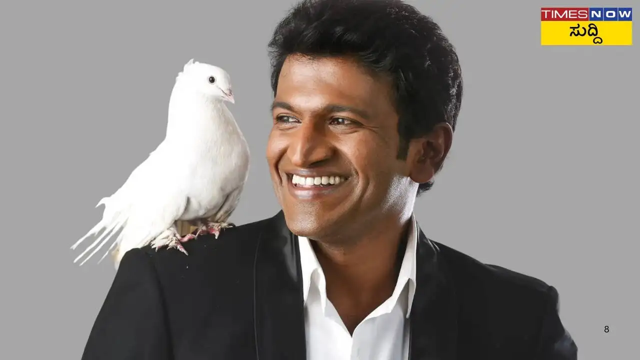 ಪುನೀತ್ ರಾಜಕುಮಾರ್ ಅವರ 50ನೇ ಜನ್ಮದಿನಾಚರಣೆ: ಕನ್ನಡಿಗರ ನೆನಪಿನಲ್ಲಿ ಅಜರಾಮರ