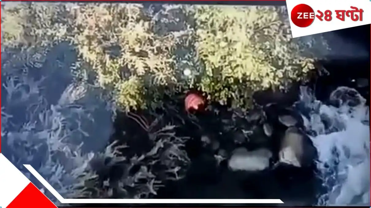 পহেলগাঁও সন্ত্রাসবাদী হামলার সন্দেহভাজন পুলিশের হাত থেকে পালানোর চেষ্টা।