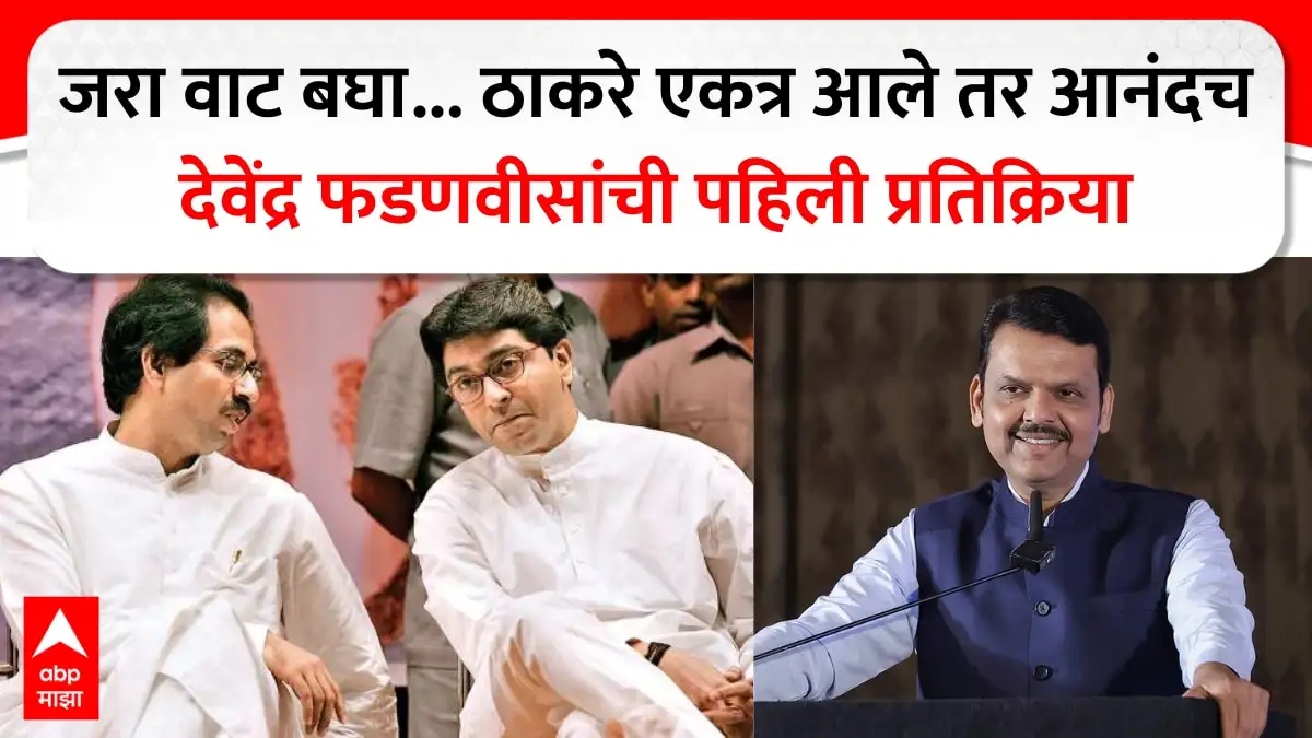 ठाकरे बंधूंच्या एकत्र येण्यावर फडणवीसांची प्रतिक्रिया, महापालिका निवडणुकीवर भाष्य