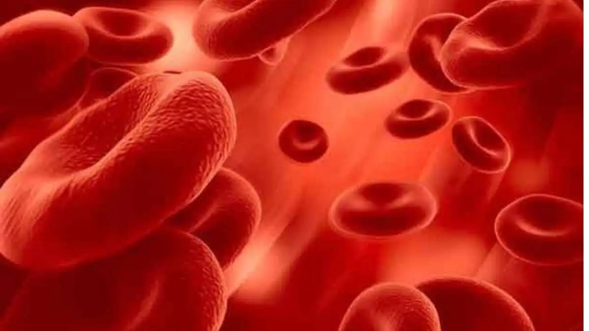 Early Thalassemia detection crucial, stress Hyderabad doctors on World Thalassemia Day