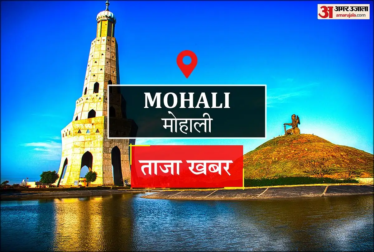 मोहाली में फर्जी इमिग्रेशन कंपनी ने 55 लाख रुपये की ठगी की