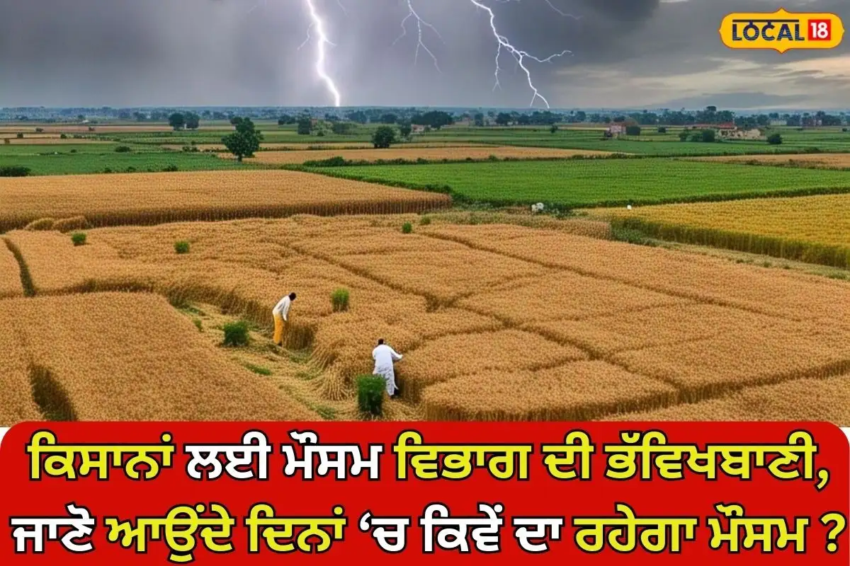 ਪੰਜਾਬ ਵਿੱਚ ਮੌਸਮ ਦੀ ਭਵਿੱਖਬਾਣੀ: ਕਿਸਾਨਾਂ ਲਈ ਰਾਹਤ ਦੀ ਖ਼ਬਰ