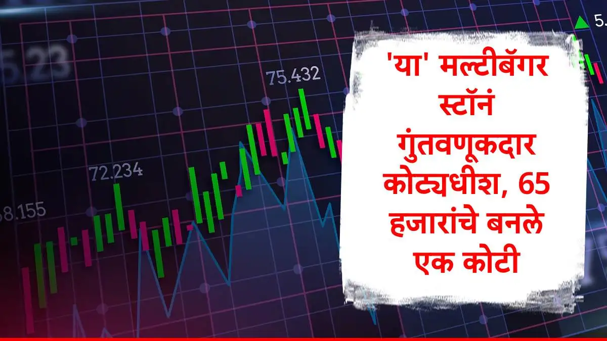 वायरॉय हॉटेलचा स्टॉक: पाच वर्षात ६५००० रुपयांपासून १ कोटी