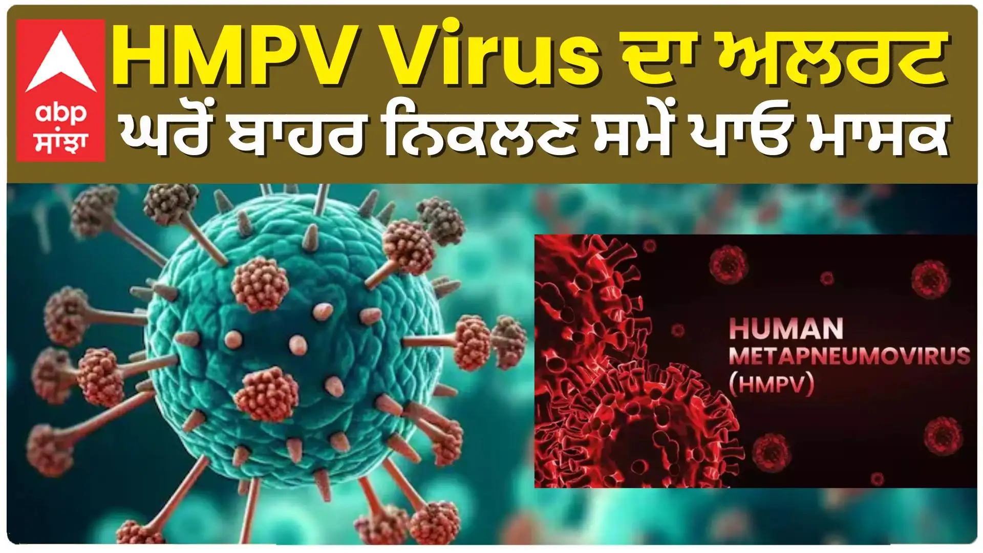 HMPV ਵਾਇਰਸ: ਪੰਜਾਬ ਸਰਕਾਰ ਦਾ ਅਲਰਟ, ਮਾਸਕ ਪਾਉਣ ਦੀ ਅਪੀਲ